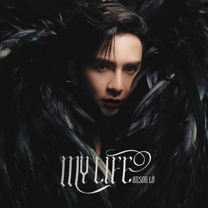 免费A片大片av观看不卡
