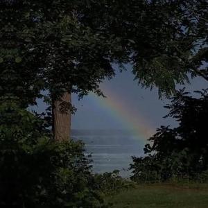 免费A片大片av观看不卡
